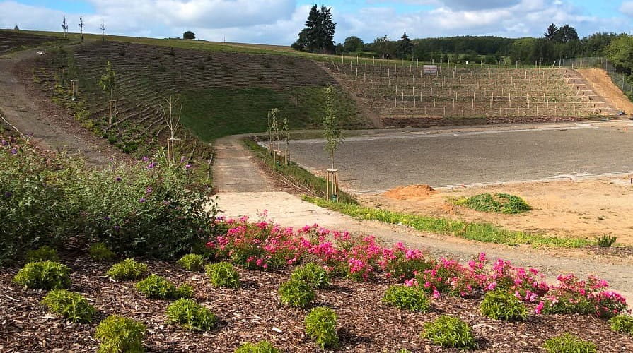 Rekultivierung der Böschungen einer ehemaligen Sandgrube