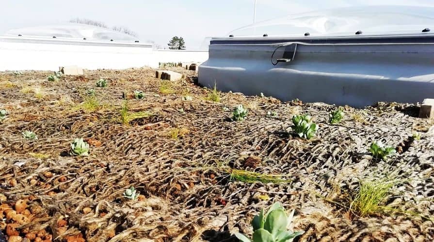 Böschungsmatten auf Gründächern