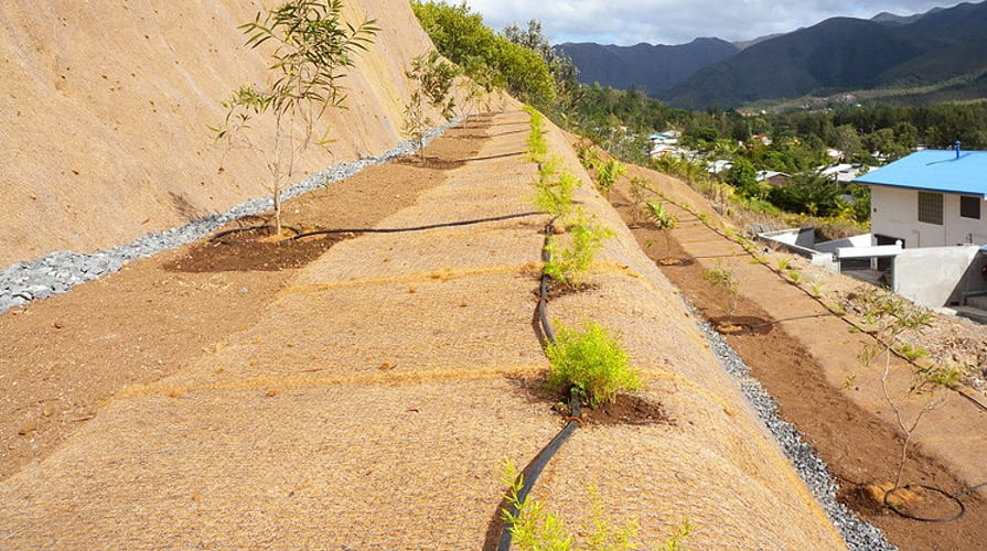 Kombination aus Kokosmatte und Stahldrahtgeflecht